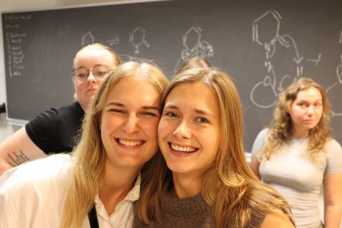 IMG 3933