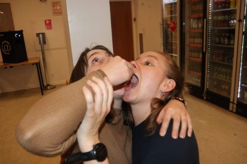 IMG 6209