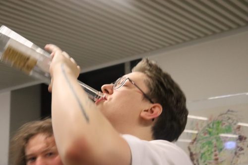 IMG 6325